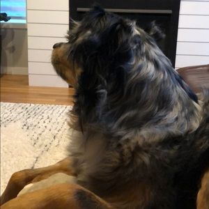 Meet your Posher, Kristin